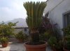 20120624-00160.jpg 20120624-00160.jpg