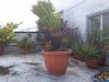 20120624-00158.jpg