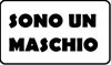 Sono un maschio.jpg