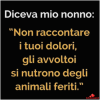 Frasi-divertenti-nnnnfoto-belle-Whatsapp-7886.png