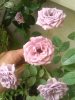 IMG_20181021_092943.jpg