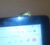 IMG_20181012_194354.jpg