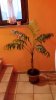 IMG-20181025-WA0015.jpg