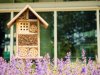 bee-hotels-to-help-solitary-bees-431808604-768-800x600.jpg