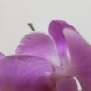 20181031_111541.jpg