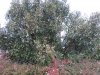 IMG_1256.JPG