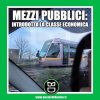 mezzi-pubblici.jpgBBBUS.jpg