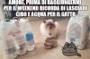 Meme-gatto-primaVV-di-raggiungermi-per-il-weekend-ricorda-di-lasciare-cibo-e-acqua-666x440.jpg