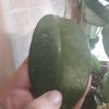 20181202_093929.jpg