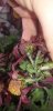 20181208_095123.jpg