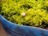 DSC02711.jpg
