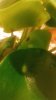 20181216_200615.jpg