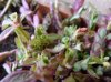 P1020178.jpg P1020178.jpg