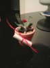 Foto0301.jpg