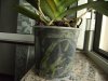 DSCF92291.jpg