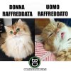 immagini-divertenti-animalHHi-gatto-uomini-donne-raffreddore-malattia-raffreddati.jpg