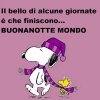 Immagini-bMMuonanotte-snoopy.jpg