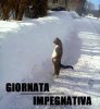 animali-divertenti-immaKKgine-giornata-impegnativa.jpg