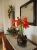 hippeastrum 2.jpg