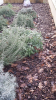 upload_2019-1-7_12-16-28.png upload_2019-1-7_12-16-28.png