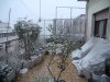neve 2.jpg neve 2.jpg