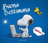 buona-settimana_053.jpgBUONASETT.jpg