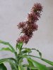 20160615_191656.jpg