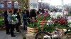 IMG-20190203-WA0000.jpg