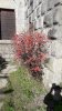 IMG-20190221-WA0006.jpg
