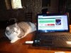 DSC03707 - Copia.JPG