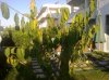 18072012290.jpg