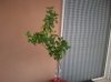 Foto0098.jpg