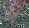 IMG_20190320_143747.jpg