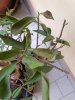 IMG_20190321_173333.jpg
