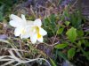 IMG-20190323-WA0003.jpg