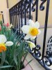 IMG_20190325_163301.jpg