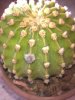 WP_20190316_11_44_47_Pro.jpg