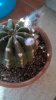 WP_20190316_12_09_52_Pro.jpg