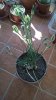 WP_20190327_09_00_21_Pro.jpg