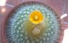 WP_20190328_13_39_11_Pro.jpg