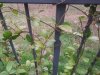20190402_181258.jpg