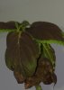 20190403_151252.jpg