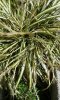 IMG-20190428-WA0002.jpg