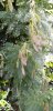 20190502_153136.jpg