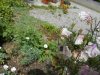 DSCN5576.JPG