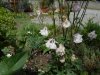 DSCN5577.JPG