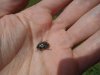 DSCN5578.JPG