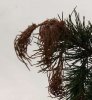 IMG-20190504-WA0028.jpeg