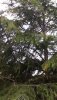 IMG-20190504-WA0026.jpeg