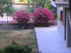 IMG_20120803_073628.jpg